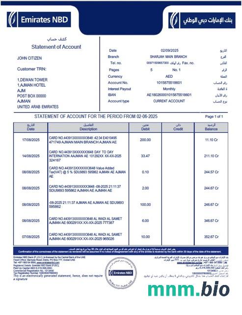 Egipt Banque Misr wyciąg z konta Word i szablon PDF